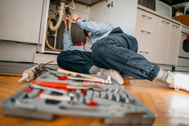 Best Residential Plumbing Services  in Mesilla, NM